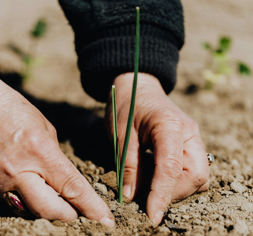 Rotary Foundation: BORSE DI STUDIO A FAVORE DI LAUREATI MAGISTRALI