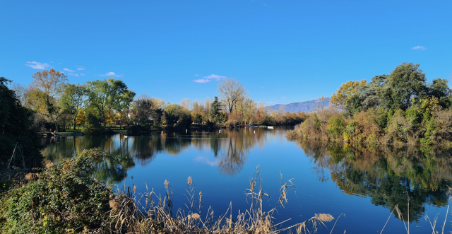 RC Pordenone Alto Livenza: LAGO DELLA BURIDA: AMBIENTE, ACQUA, AGGREGAZIONE