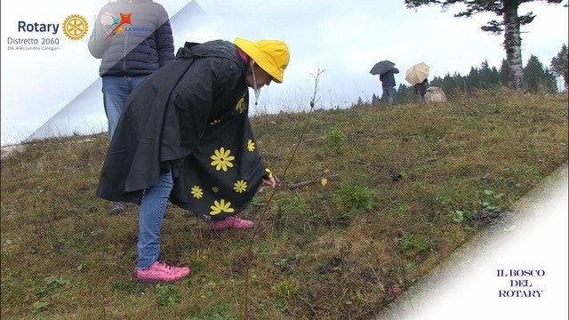 Distretto 2060: ECCO IL FILM SULLA POSA DELLA TARGA AL BOSCO DEL ROTARY