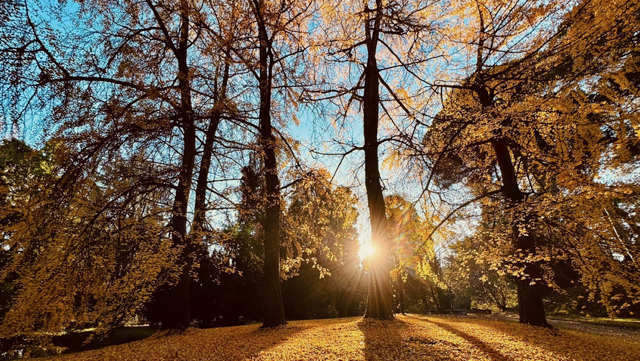 Distretto 2060: SABATO 10 MAGGIO - 16° PIC-NIC ROTARIANO